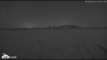 Blackwater Wildlife Refuge Waterfowl Live Webcam - Aug 6, 2026, 1:37am EDT