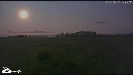 Blackwater Wildlife Refuge Waterfowl Live Webcam - Jul 29, 2026, 4:48am EDT