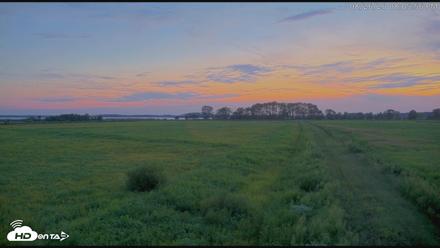 Blackwater Wildlife Refuge Waterfowl Live Webcam - Aug 26, 2026, 8:06pm EDT