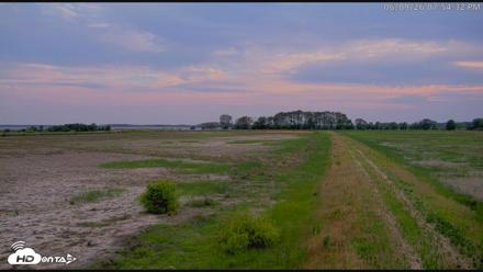 Blackwater Wildlife Refuge Waterfowl Live Webcam - Jun 9, 2026, 7:55pm EDT