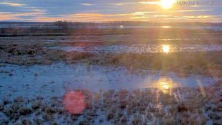 Blackwater Wildlife Refuge Waterfowl Live Webcam - Dec 31, 2025, 4:41pm EST