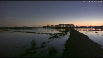 Blackwater Wildlife Refuge Waterfowl Live Webcam - Apr 7, 2026, 8:34pm EDT