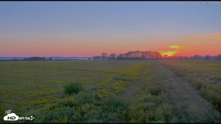 Blackwater Wildlife Refuge Waterfowl Live Webcam - Oct 1, 2026, 6:46pm EDT