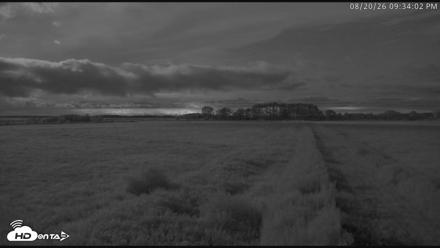 Blackwater Wildlife Refuge Waterfowl Live Webcam - Aug 20, 2026, 9:34pm EDT
