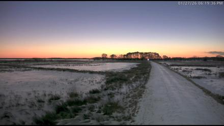 Blackwater Wildlife Refuge Waterfowl Live Webcam - Jan 27, 2026, 6:20pm EST