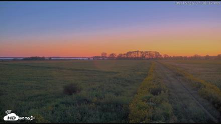 Blackwater Wildlife Refuge Waterfowl Live Webcam - Sep 15, 2026, 7:39pm EDT