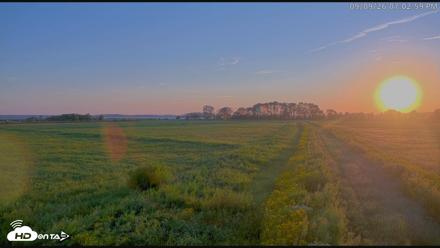 Blackwater Wildlife Refuge Waterfowl Live Webcam - Sep 9, 2026, 7:04pm EDT