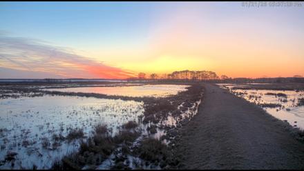 Blackwater Wildlife Refuge Waterfowl Live Webcam - Jan 21, 2026, 5:39pm EST