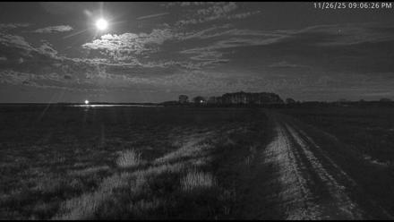 Blackwater Wildlife Refuge Waterfowl Live Webcam - Nov 26, 2025, 9:05pm EST