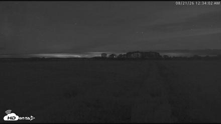 Blackwater Wildlife Refuge Waterfowl Live Webcam - Aug 21, 2026, 12:34am EDT