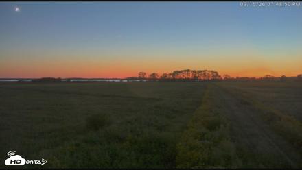 Blackwater Wildlife Refuge Waterfowl Live Webcam - Sep 15, 2026, 7:49pm EDT