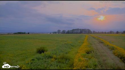 Blackwater Wildlife Refuge Waterfowl Live Webcam - Sep 12, 2026, 6:36pm EDT