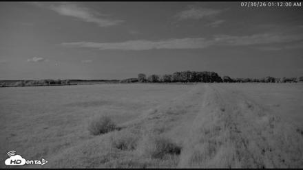 Blackwater Wildlife Refuge Waterfowl Live Webcam - Jul 30, 2026, 1:12am EDT
