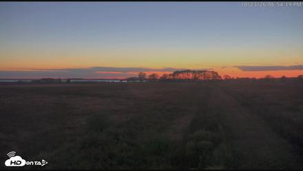 Blackwater Wildlife Refuge Waterfowl Live Webcam - Oct 23, 2026, 6:54pm EDT