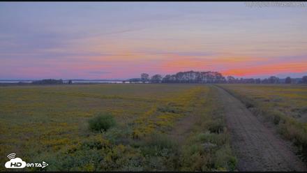 Blackwater Wildlife Refuge Waterfowl Live Webcam - Oct 2, 2026, 6:49pm EDT