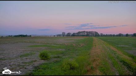 Blackwater Wildlife Refuge Waterfowl Live Webcam - Jun 13, 2026, 5:47am EDT