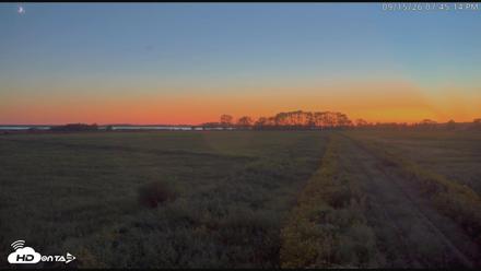 Blackwater Wildlife Refuge Waterfowl Live Webcam - Sep 15, 2026, 7:45pm EDT