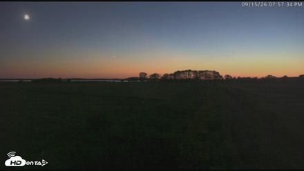 Blackwater Wildlife Refuge Waterfowl Live Webcam - Sep 15, 2026, 7:58pm EDT