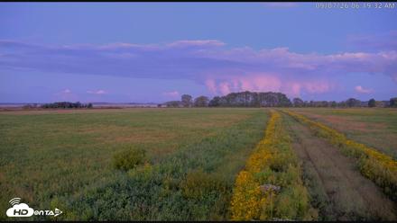 Blackwater Wildlife Refuge Waterfowl Live Webcam - Sep 7, 2026, 6:20am EDT