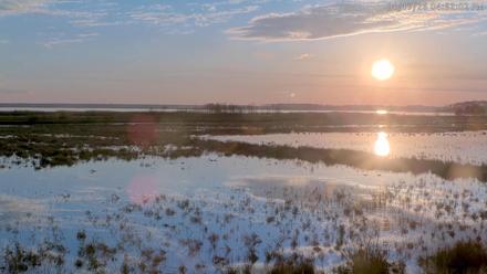 Blackwater Wildlife Refuge Waterfowl Live Webcam - Jan 17, 2026, 4:52pm EST