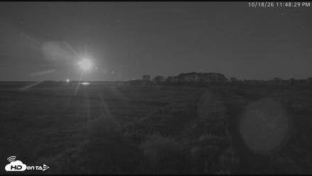 Blackwater Wildlife Refuge Waterfowl Live Webcam - Oct 18, 2026, 11:49pm EDT