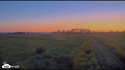 Blackwater Wildlife Refuge Waterfowl Live Webcam - Sep 15, 2026, 7:39pm EDT
