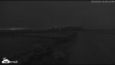 Blackwater Wildlife Refuge Waterfowl Live Webcam - May 23, 2026, 10:31pm EDT