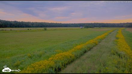 Blackwater Wildlife Refuge Waterfowl Live Webcam - Sep 10, 2026, 7:37am EDT
