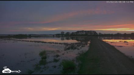 Blackwater Wildlife Refuge Waterfowl Live Webcam - May 2, 2026, 8:38pm EDT