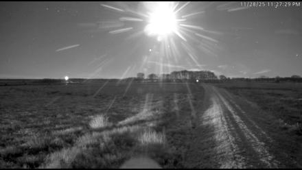 Blackwater Wildlife Refuge Waterfowl Live Webcam - Nov 28, 2025, 11:28pm EST