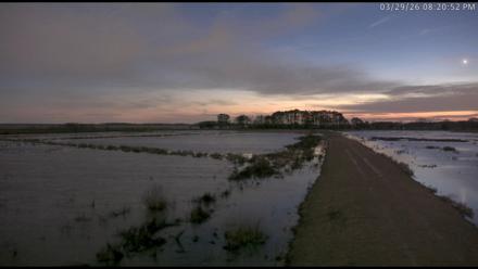 Blackwater Wildlife Refuge Waterfowl Live Webcam - Mar 29, 2026, 8:21pm EDT