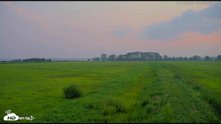 Blackwater Wildlife Refuge Waterfowl Live Webcam - Jul 19, 2026, 8:04pm EDT