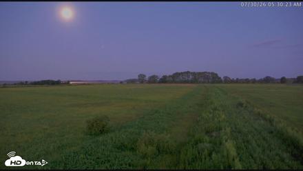 Blackwater Wildlife Refuge Waterfowl Live Webcam - Jul 30, 2026, 5:31am EDT
