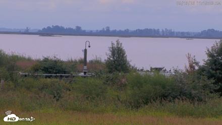 Blackwater Wildlife Refuge Waterfowl Live Webcam - Sep 13, 2026, 11:19am EDT