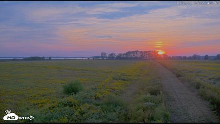 Blackwater Wildlife Refuge Waterfowl Live Webcam - Oct 2, 2026, 6:36pm EDT