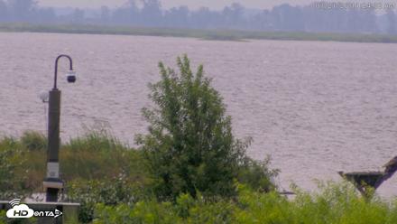 Blackwater Wildlife Refuge Waterfowl Live Webcam - Jul 21, 2026, 11:25am EDT
