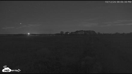 Blackwater Wildlife Refuge Waterfowl Live Webcam - Oct 12, 2026, 8:07pm EDT