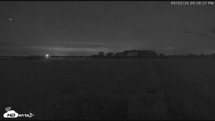 Blackwater Wildlife Refuge Waterfowl Live Webcam - Sep 5, 2026, 9:59pm EDT