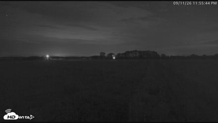 Blackwater Wildlife Refuge Waterfowl Live Webcam - Sep 11, 2026, 11:56pm EDT