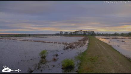 Blackwater Wildlife Refuge Waterfowl Live Webcam - Apr 28, 2026, 7:18pm EDT