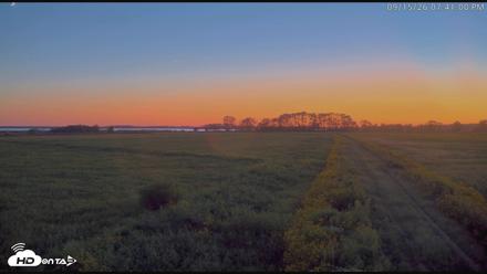 Blackwater Wildlife Refuge Waterfowl Live Webcam - Sep 15, 2026, 7:41pm EDT
