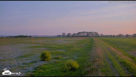Blackwater Wildlife Refuge Waterfowl Live Webcam - Jun 17, 2026, 8:01pm EDT