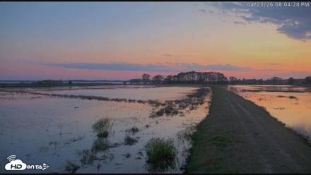 Blackwater Wildlife Refuge Waterfowl Live Webcam - Apr 23, 2026, 8:04pm EDT