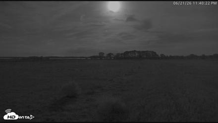 Blackwater Wildlife Refuge Waterfowl Live Webcam - Jun 21, 2026, 11:41pm EDT