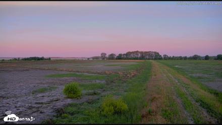 Blackwater Wildlife Refuge Waterfowl Live Webcam - Jun 9, 2026, 5:45am EDT