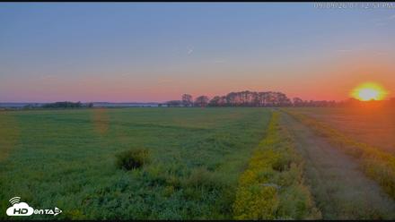 Blackwater Wildlife Refuge Waterfowl Live Webcam - Sep 9, 2026, 7:13pm EDT