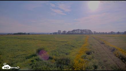 Blackwater Wildlife Refuge Waterfowl Live Webcam - Sep 11, 2026, 6:08pm EDT