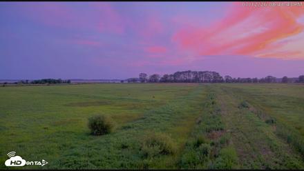 Blackwater Wildlife Refuge Waterfowl Live Webcam - Jul 12, 2026, 8:42pm EDT