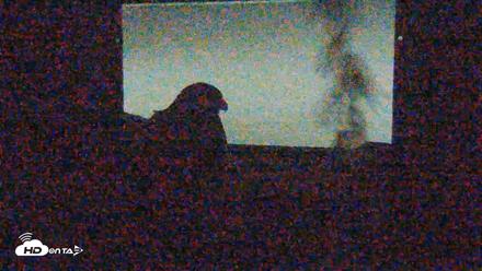 Briess Falcons Live Nest Cam - Jun 8, 2026, 11:08pm CDT