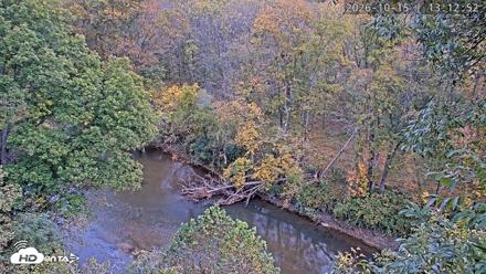 Dulles Greenway Eagles Nest Live Cam - Oct 15, 2026, 1:07pm EDT